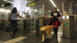 perro entrando en el metro de madrid