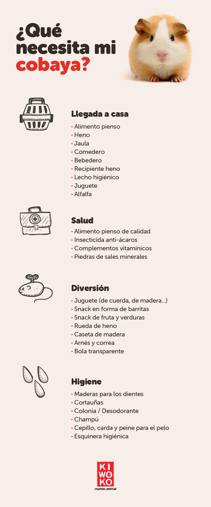 cobayas sus cuidades y necesidades