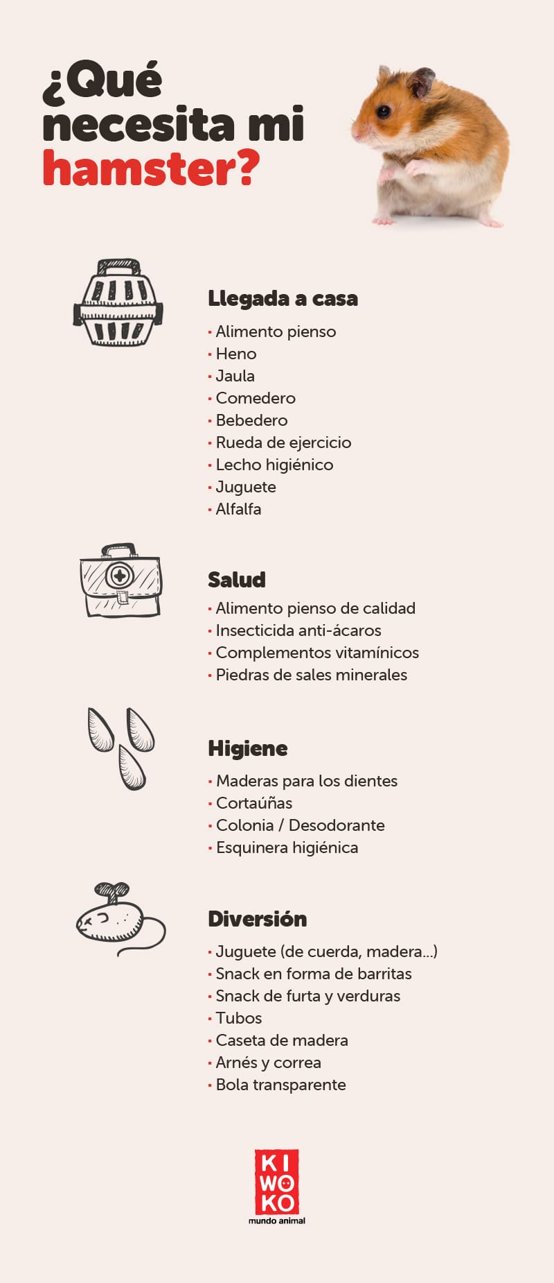 Tips y consejos para elegir las mejores verduras - Comedera