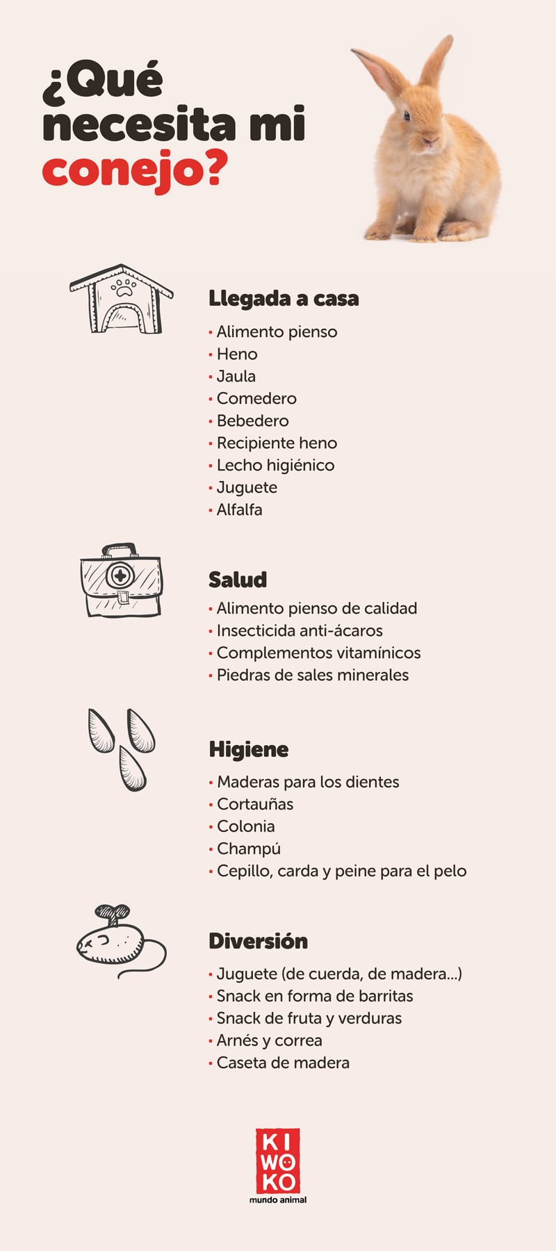 Cuidados de tu primer conejo en casa