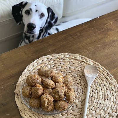 galletas caseras para perros