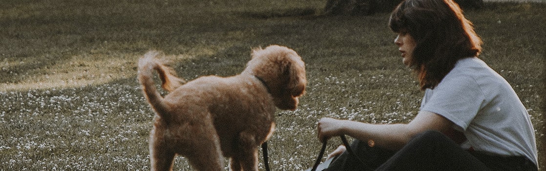 5 juegos para divertirte con tu perro: actividades en el jardín