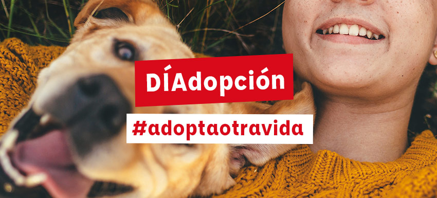 Di adopción