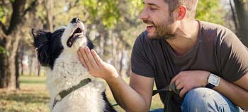 Consejos Escoger el adecuado