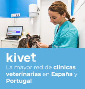 kivet clinicas veterinarias