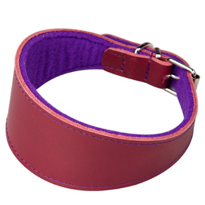 Collar especial para galgos