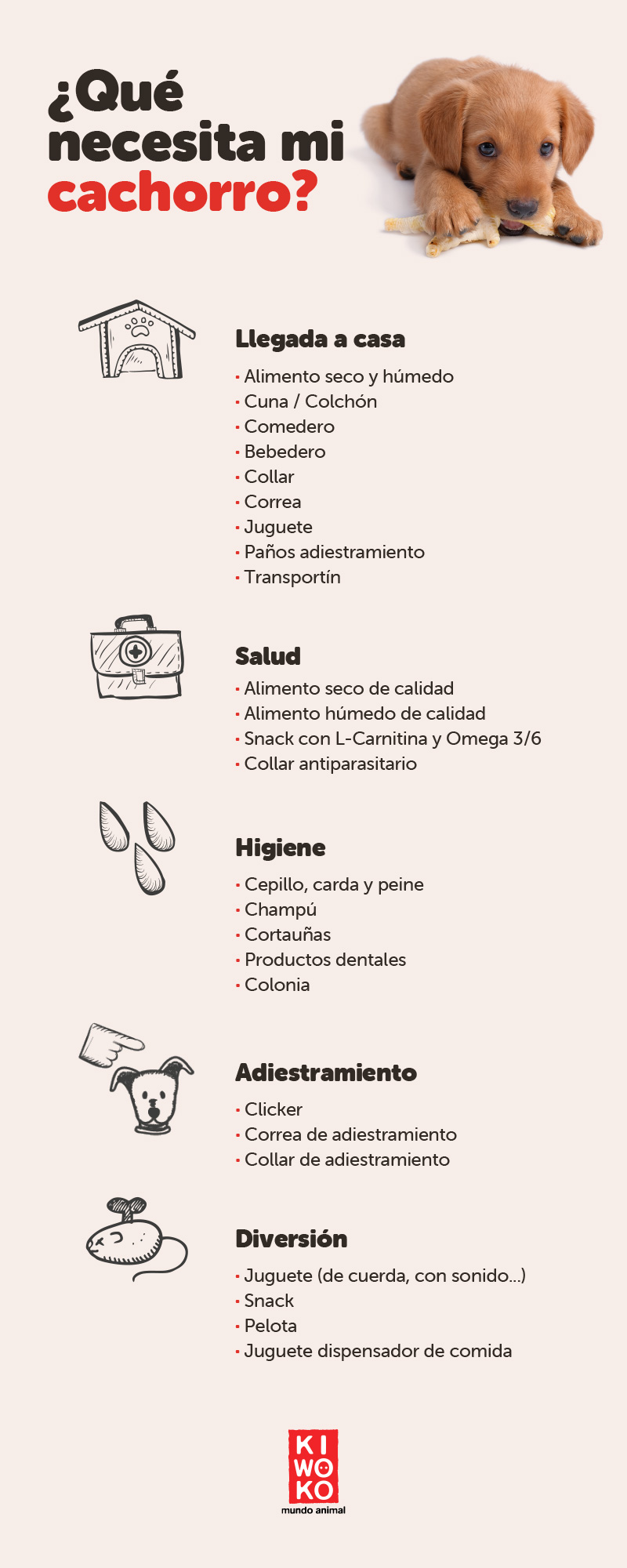 Infografía cachorro cuidados y necesidades