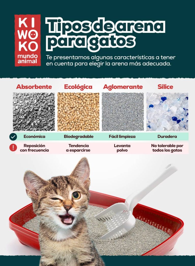 Tipos de arenas para gatos