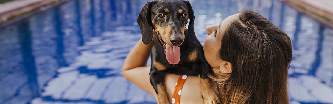 Los productos m s refrescantes para tu perro este verano