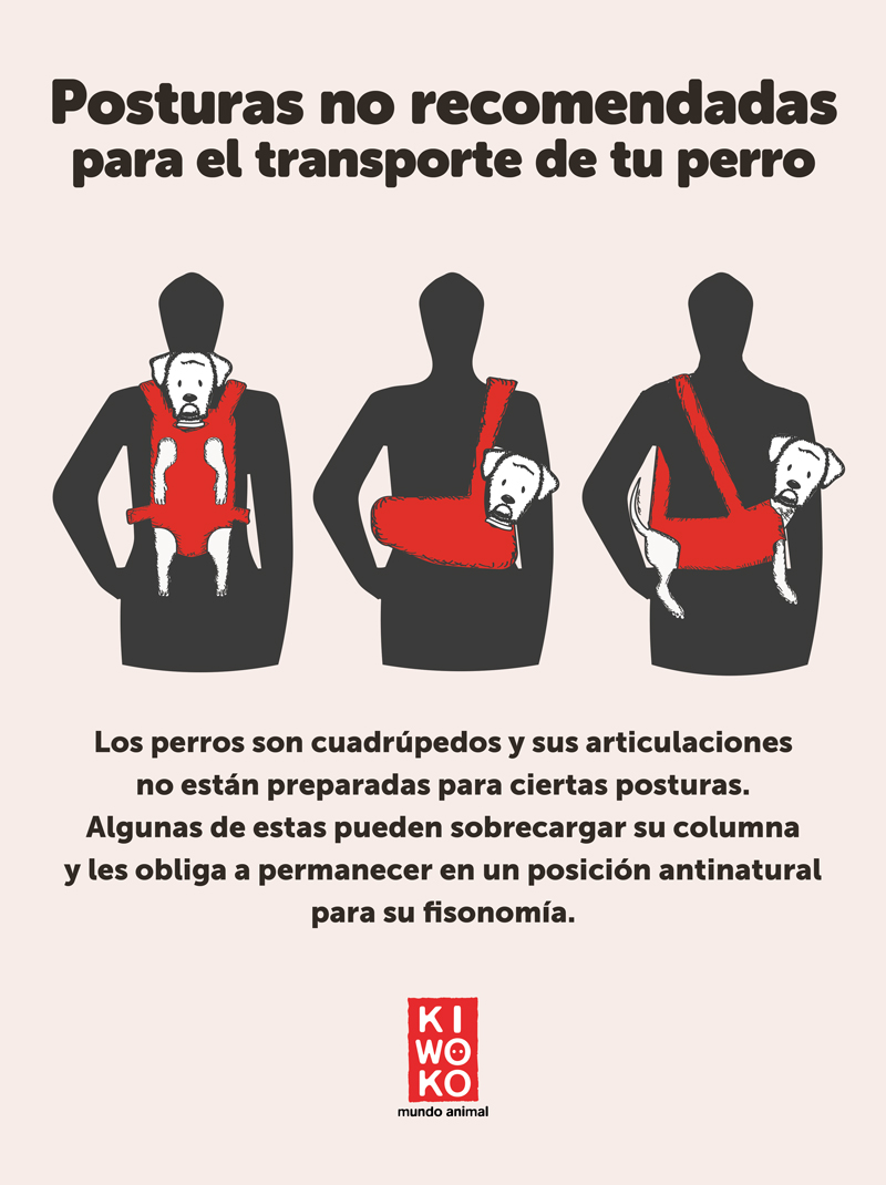 posturas no recomendadas para transportar a un perro