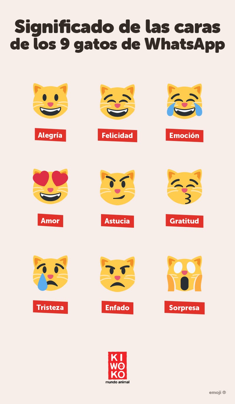 lanzar lino Embutido Qué significa los emojis de las expresiones de los gatos de whatsapp