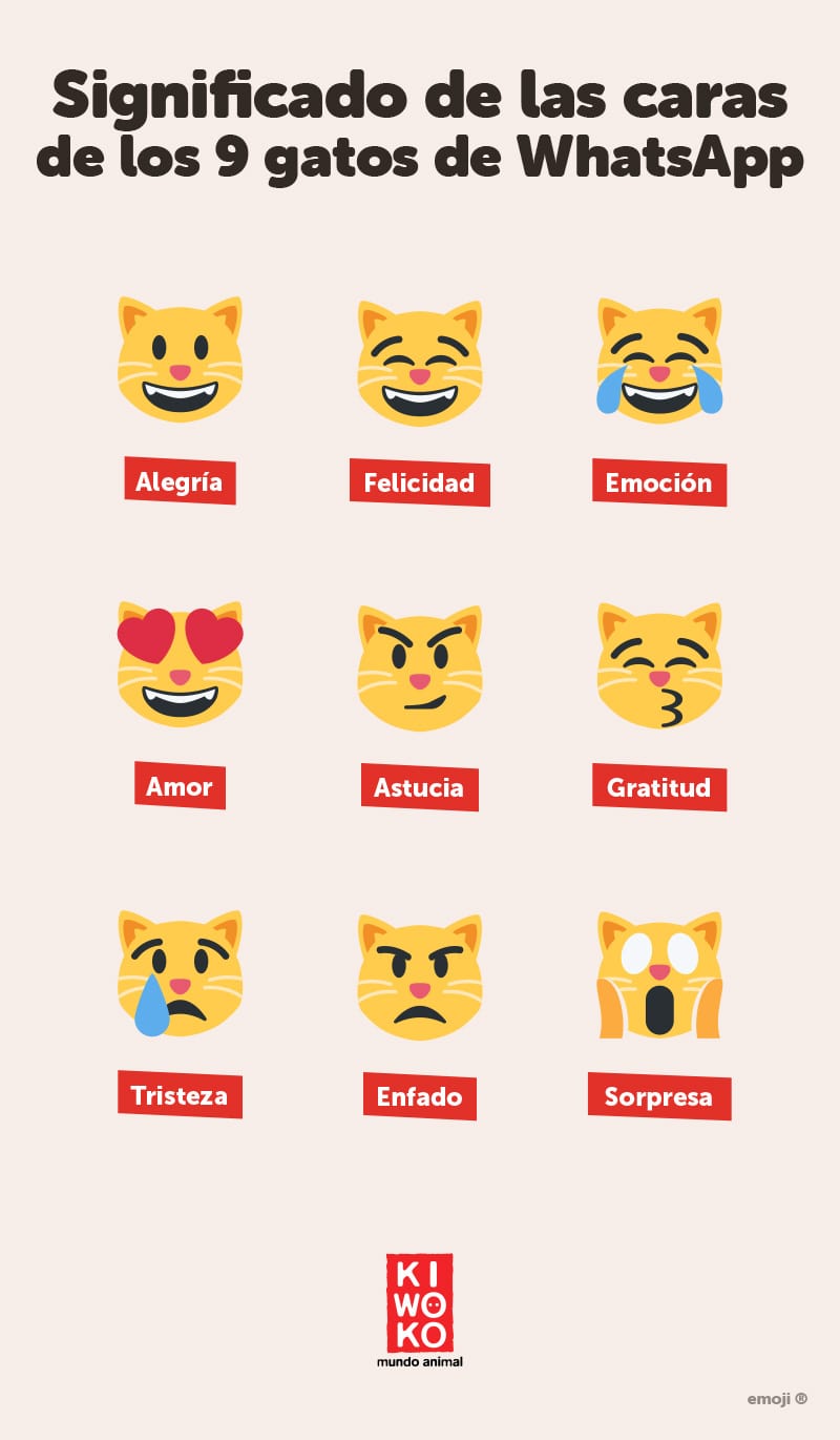 Significado de las caras de los nueve gatos de whatsapp