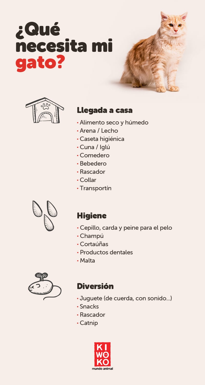 Tips para el cuidado de la arena de tu gato! I Efecto Mirringo