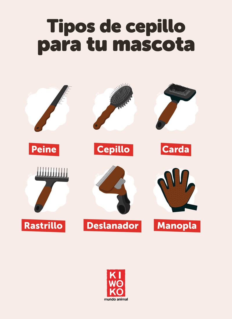 Tipos de cepillo para tu perro o gato