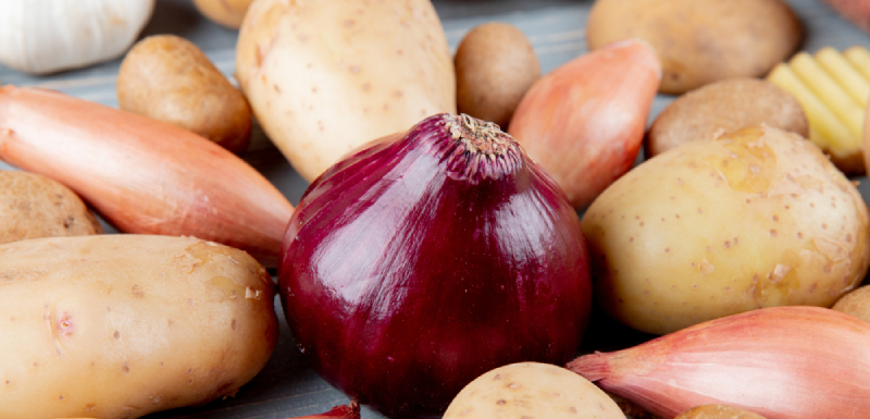 verduras toxicas para conejos