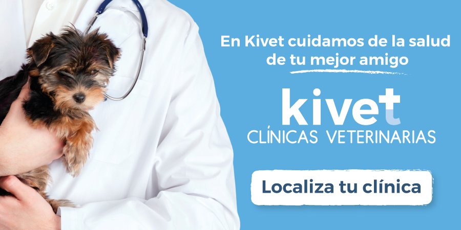 veterinarios-kivet-kiwoko
