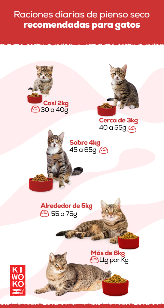 Guía cantidad diaria de comida tu gato |
