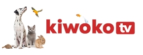 kiwoko tv
