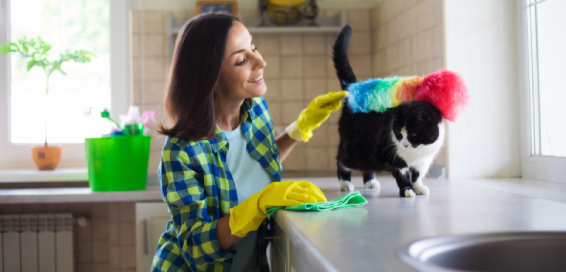 quitar olor de gato casa