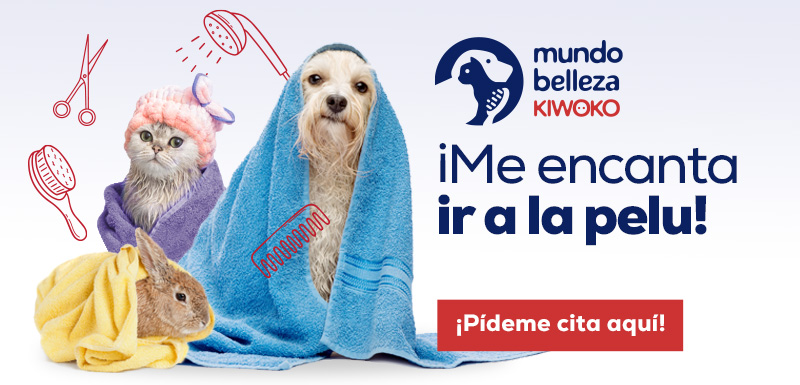 Mundo Belleza Peluquería Kiwoko