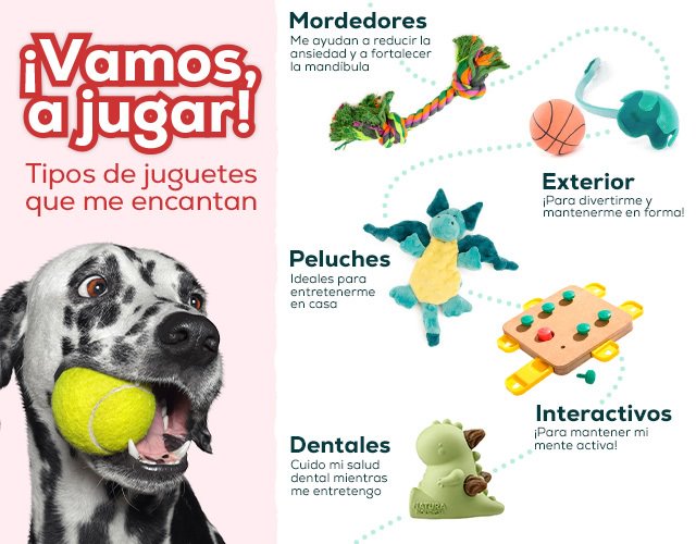 Juguetes Interactivos para Perros - Los 4 Mejores Tipos