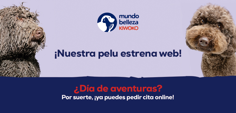 mundo belleza