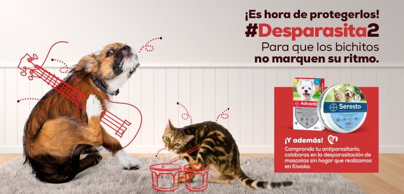 campana-desparasitados-1