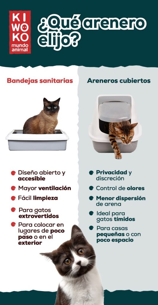 Que arenero elijo para mi gato