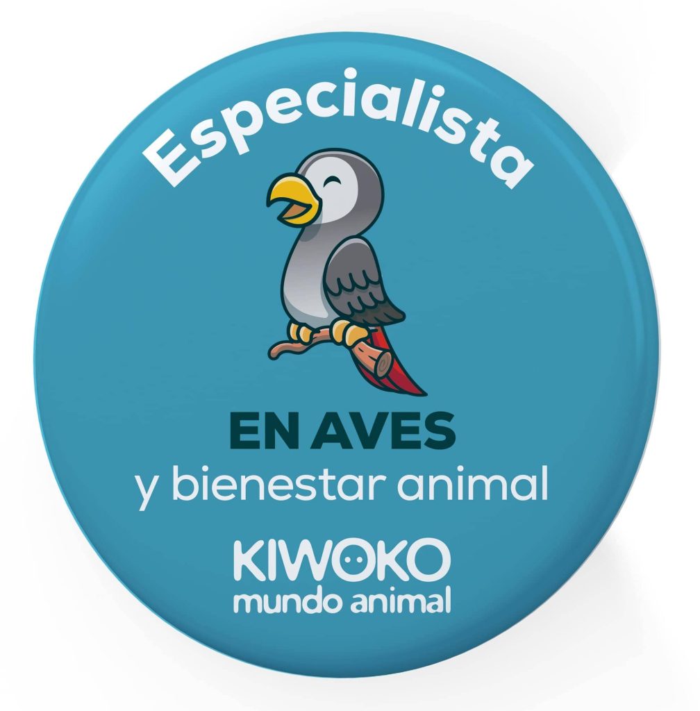 Chapa Kiwoko Aprende