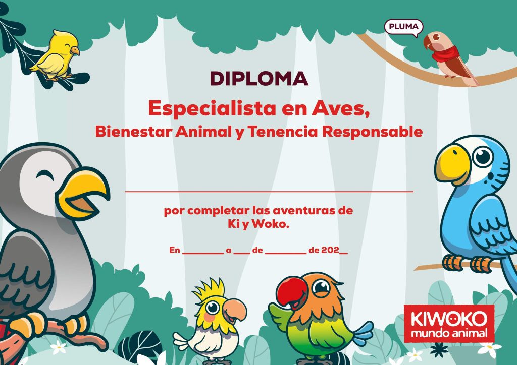 Diploma Kiwoko Aprende