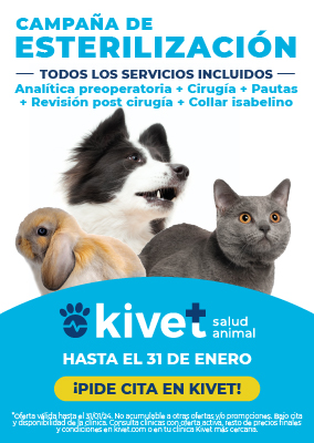Kivet_campana esterilizacion