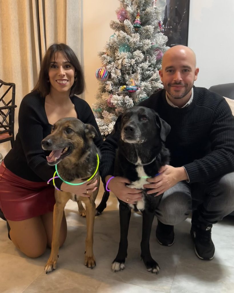 adopcion animal logan y su nueva familia