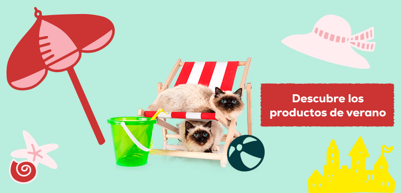 productos verano gatos
