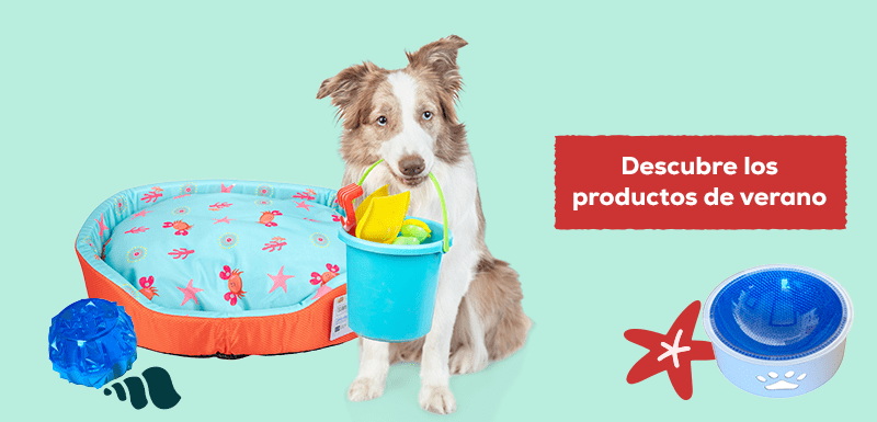 productos verano perros