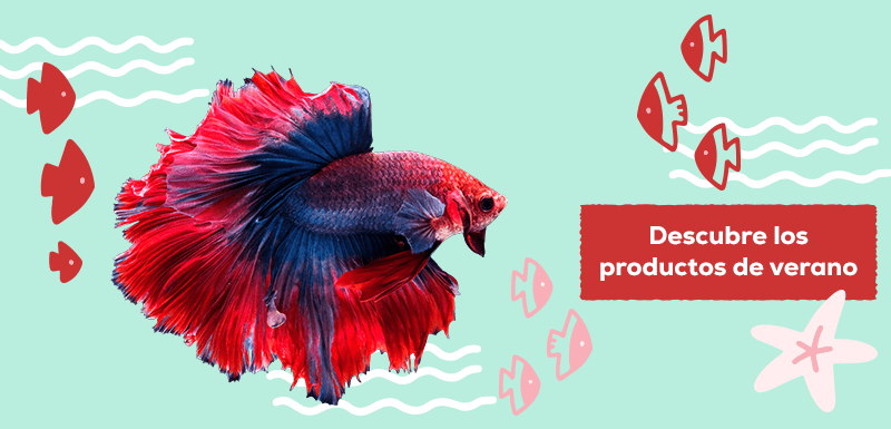 productos verano peces