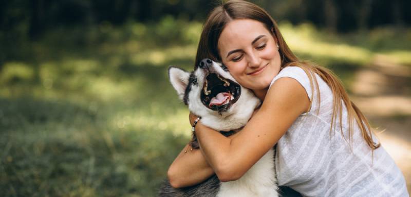 descubre cual es la mejor raza de perro para ti
