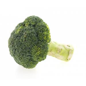 brocoli verduras que pueden comer los gatos