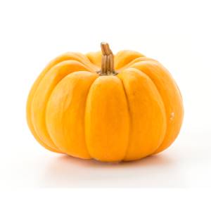 calabaza verduras que pueden comer los gatos