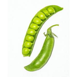 guisantes verduras que pueden comer los gatos