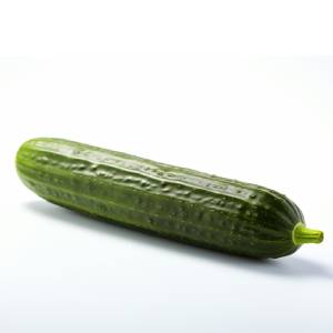pepino verduras que pueden comer los gatos