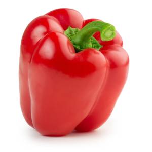 pimiento verduras que pueden comer los gatos