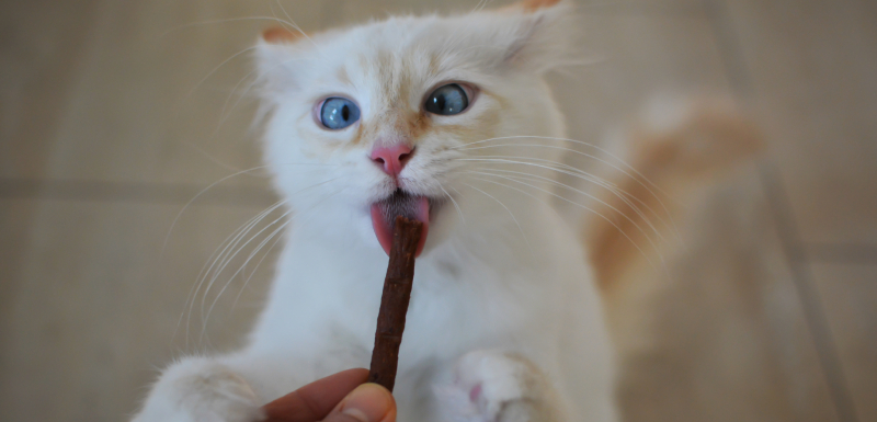mejores lickable treat para gatos