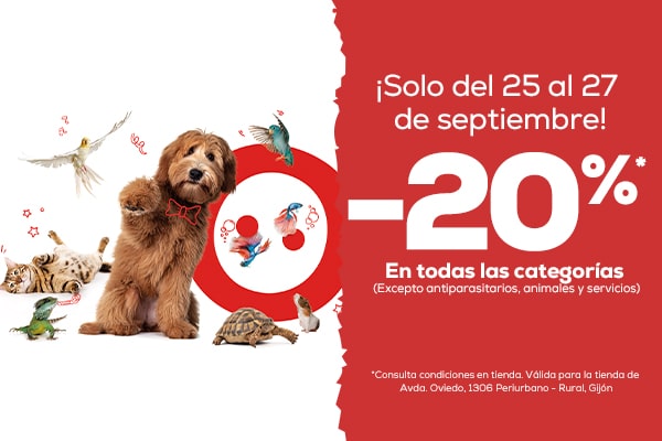 kiwoko apertura gijon