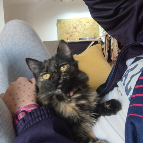 Lluna y emilio historia que deja huella