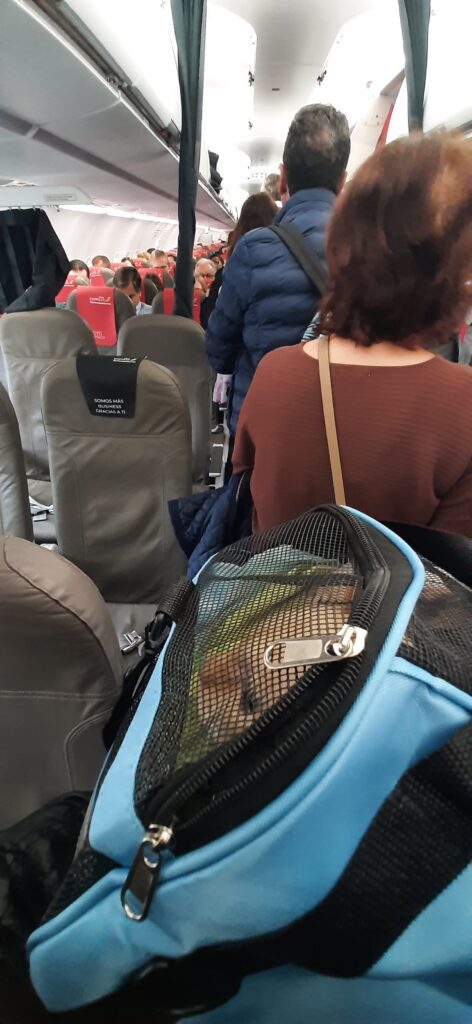 guri viaje a canarias