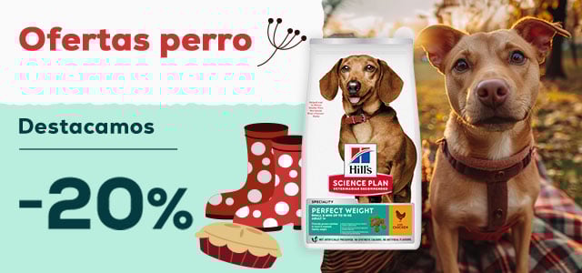 Ofertas perro 🐶  | -20% en selección de pienso Hill’s