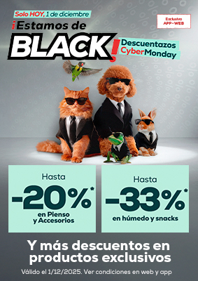 Campaña Black Weeks 2025 (hasta 01/12)