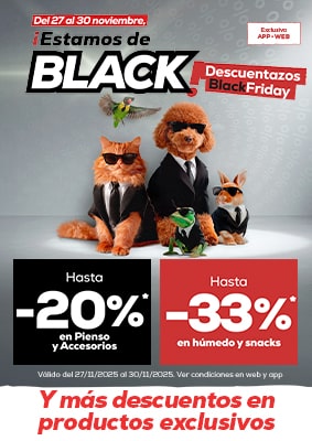 Campaña Black Weeks 2025 (hasta 01/12)