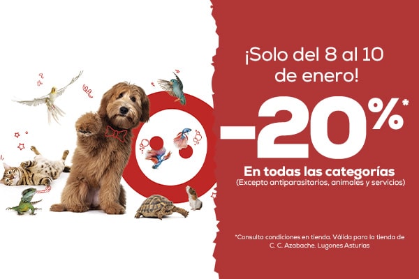 20% de descuento Kiwoko lugones azabache