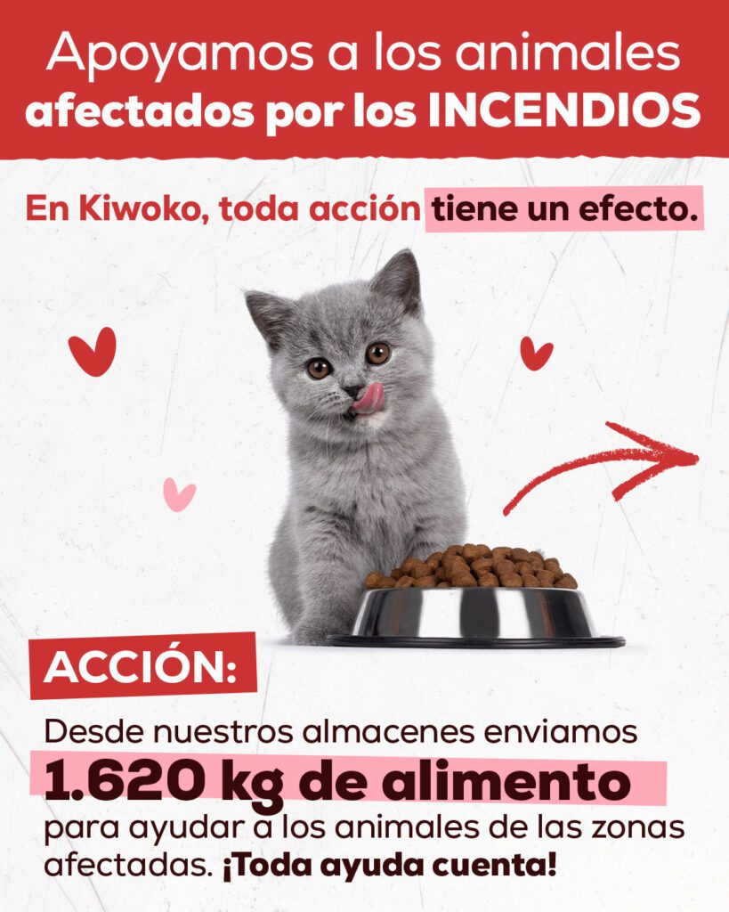 Donación protocolo incendios